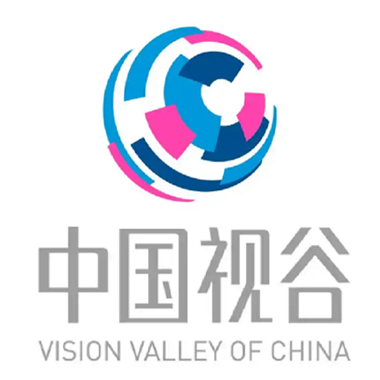 中国视谷